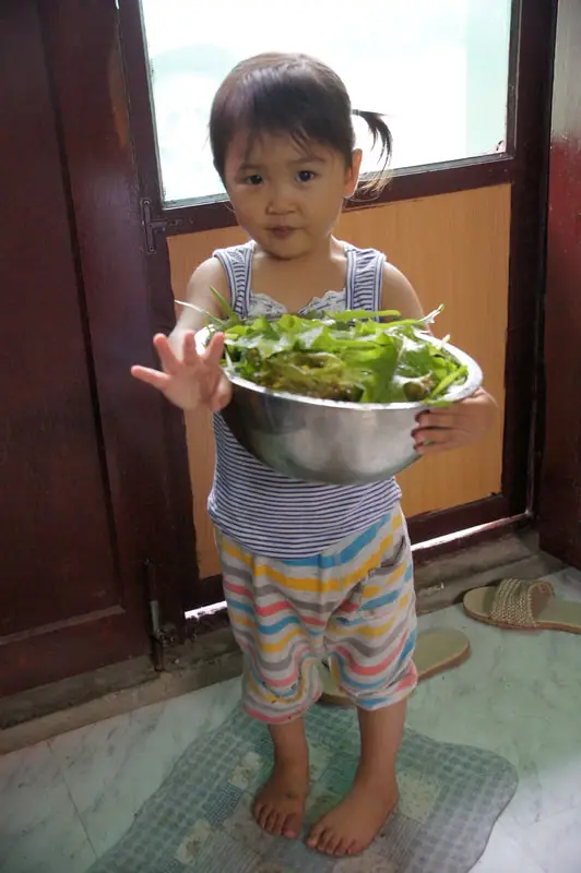 #樸門小盒子：分享多餘