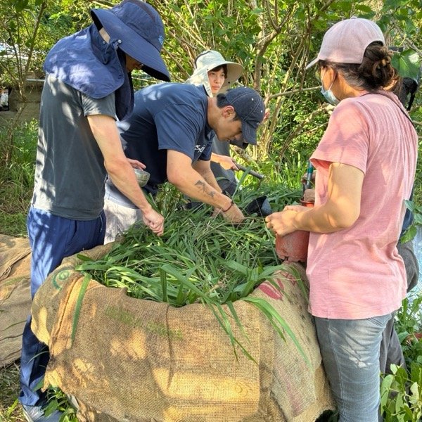 【種植紀錄，謝謝書屋的來訪】