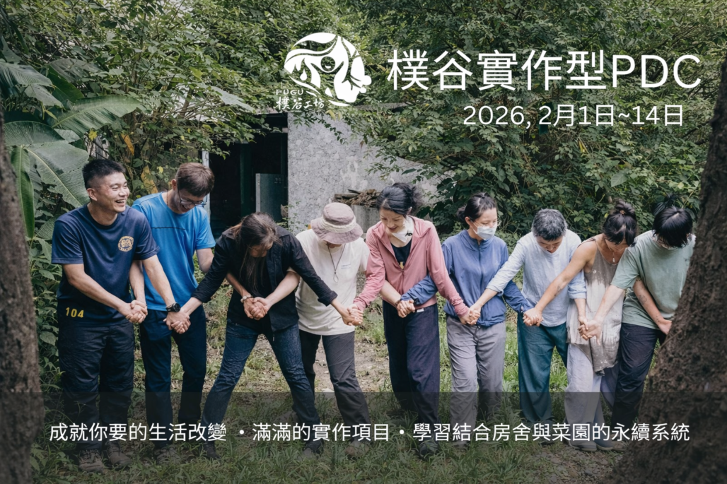 樸谷實作型PDC, 14天