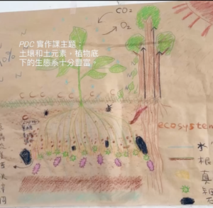 讓我們一起把自己種下去土地裡