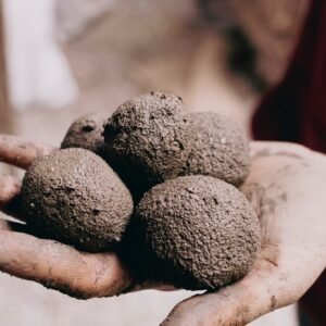 種子保存，和育苗：找回土地與生命的自主權