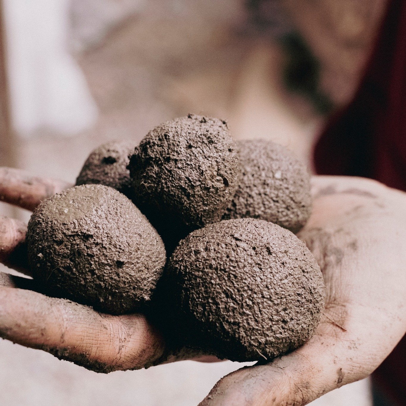 種子保存，和育苗：找回土地與生命的自主權