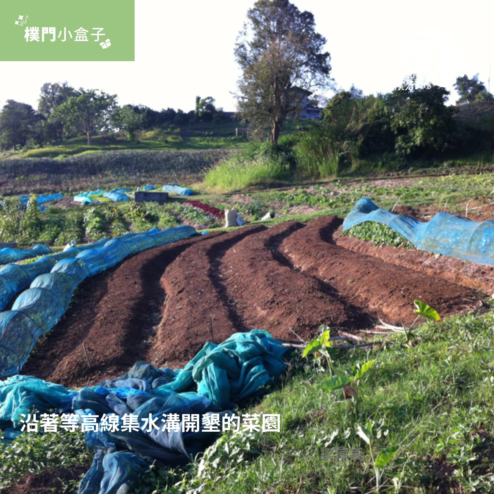 設計是在做人與自然的搭配：</br>業主可以訪談，那自然呢？