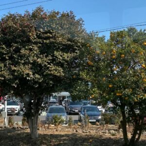 這幾天我們在濟州島