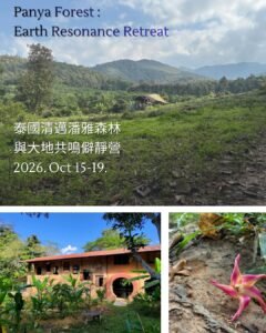 泰國清邁潘雅森林｜</br>與大地共鳴僻靜營 10月15-19日 開始招生～