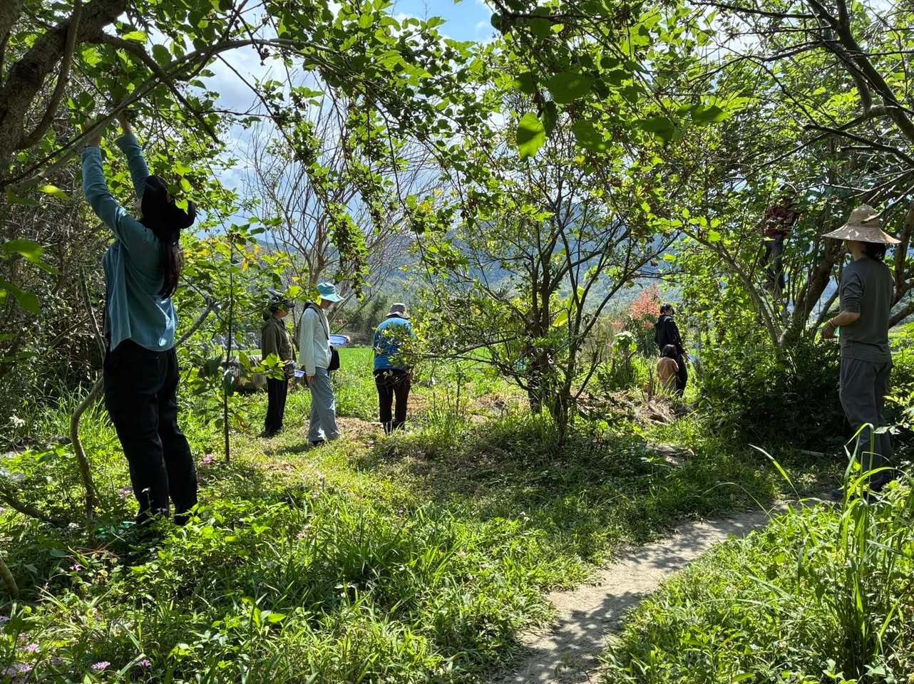 種植&植物近況 / 春耕 2026-3月