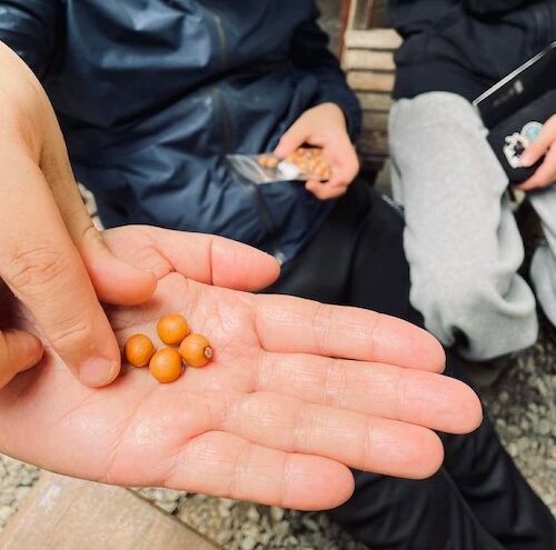 【參與式樸門參訪 @ 樸谷基地】