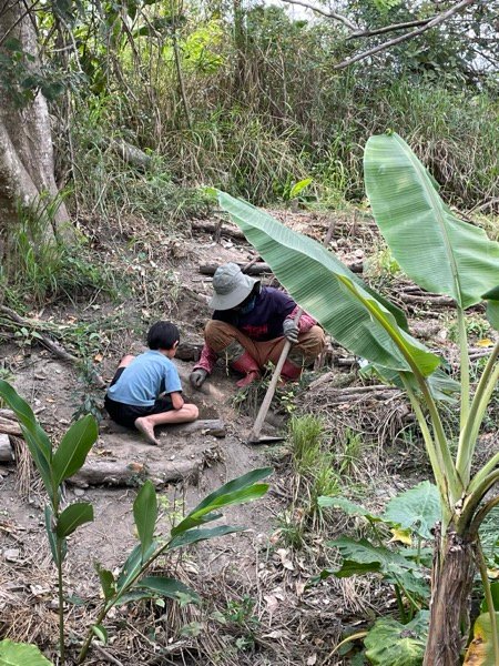 春耕筆記—共伴作物與自然授粉的生態實踐