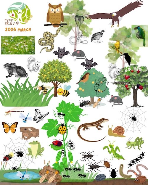【畫出，土地中的生態互動系統】珍視大自然中的每一個生物為禮物