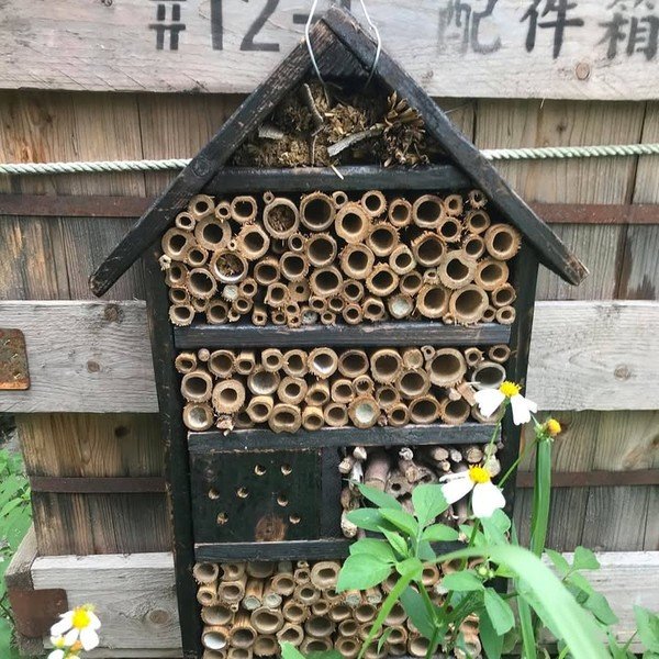 螟蛉子不是養子，而是便當。